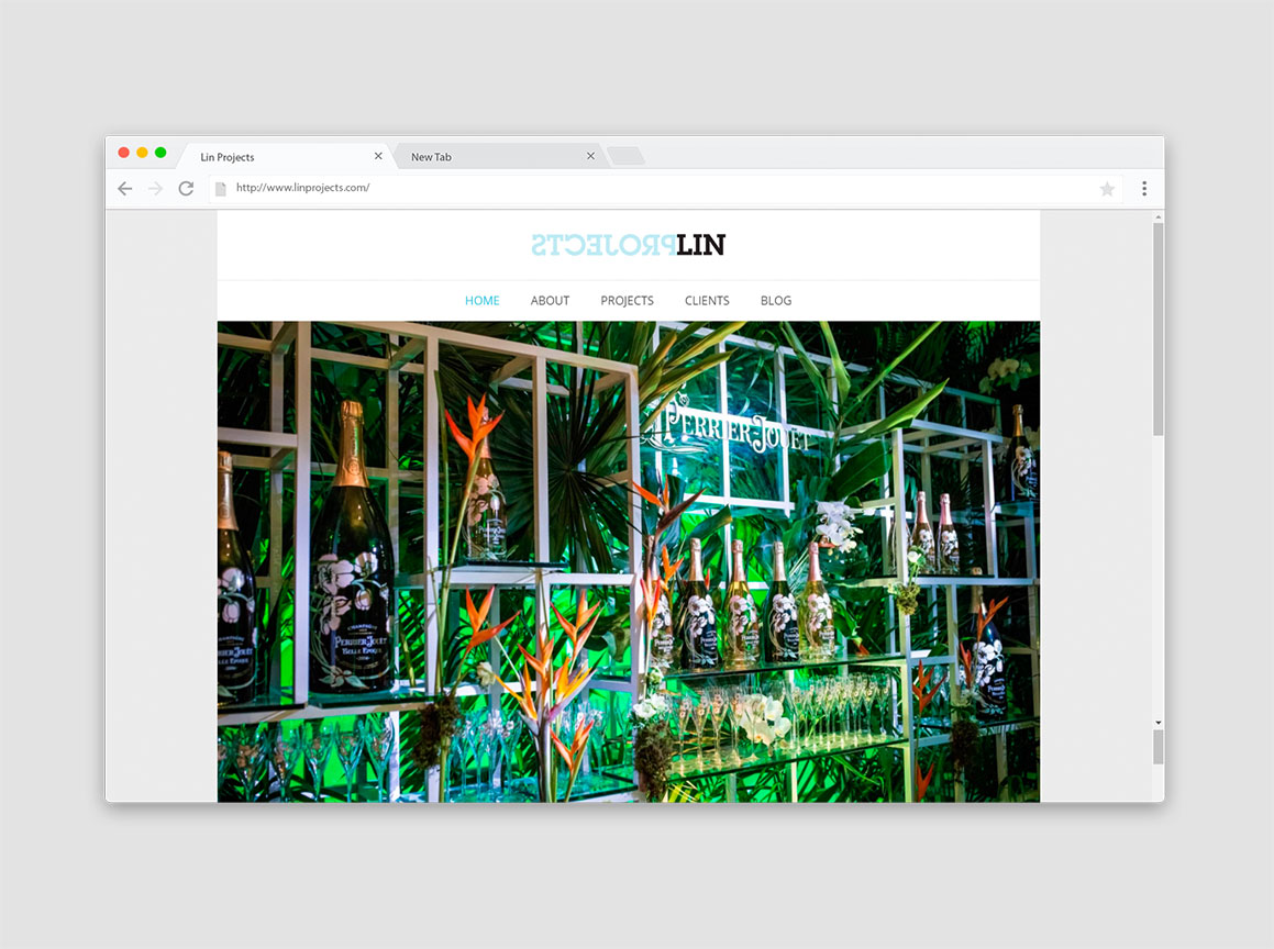 Lin Projects Website Design 1